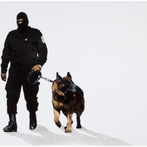 Man's Best Friend