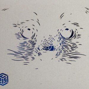 C215 'The Monograph' Book - Image 3