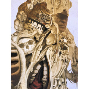 CAPTAIN- £495 - Image 4