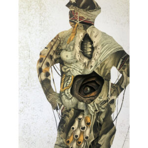 CHIEF - £375 - Image 2